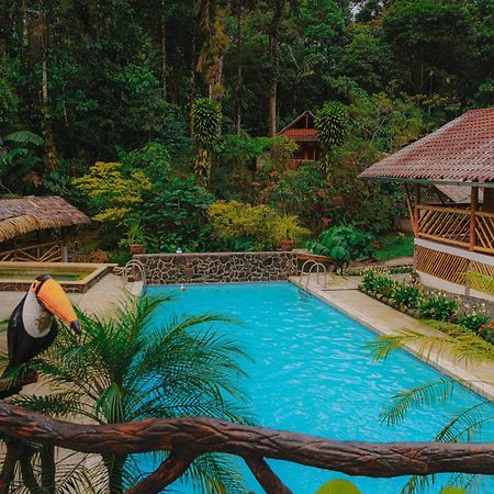 Finca Las Palmas Ecolodge Пуйо Экстерьер фото