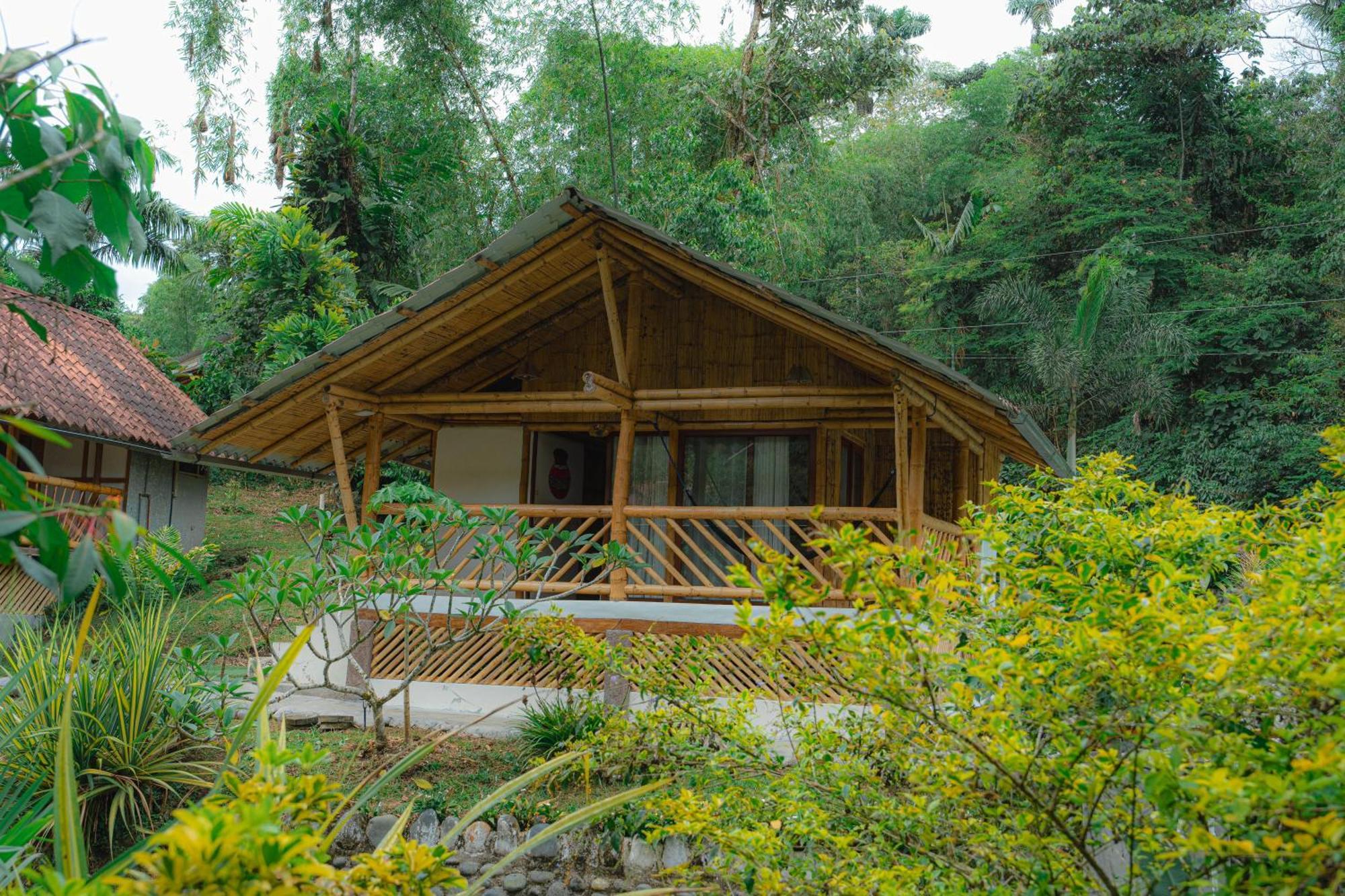 Finca Las Palmas Ecolodge Пуйо Экстерьер фото
