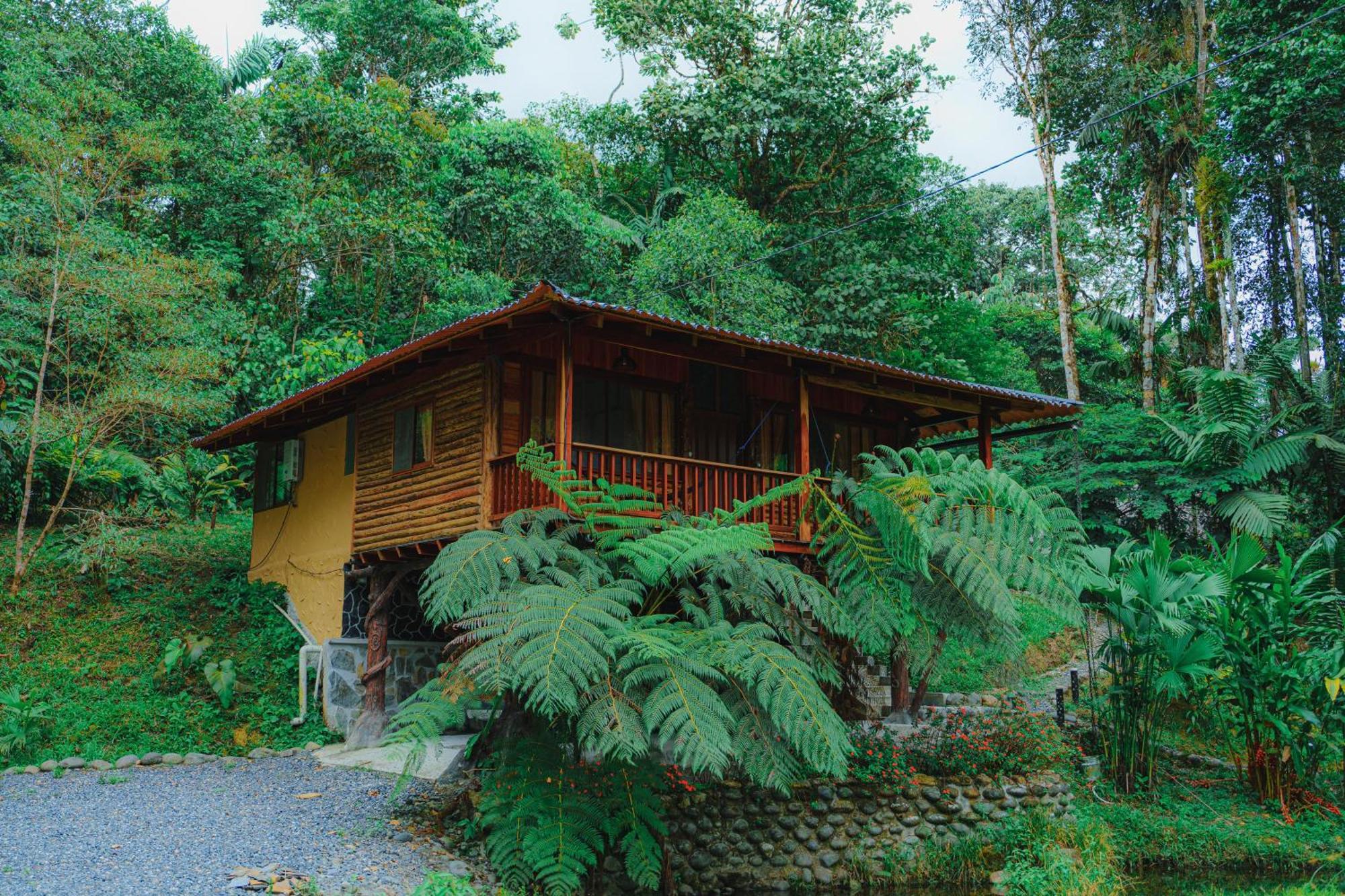 Finca Las Palmas Ecolodge Пуйо Экстерьер фото