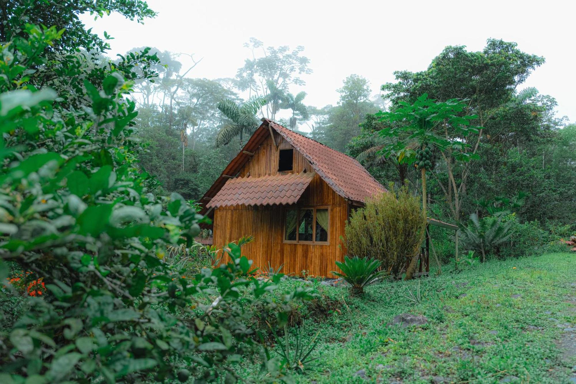 Finca Las Palmas Ecolodge Пуйо Экстерьер фото