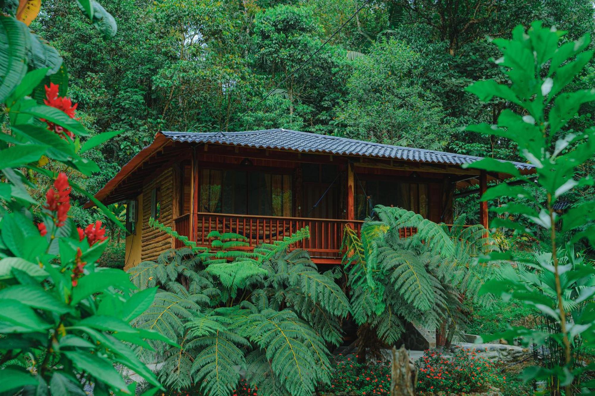 Finca Las Palmas Ecolodge Пуйо Экстерьер фото
