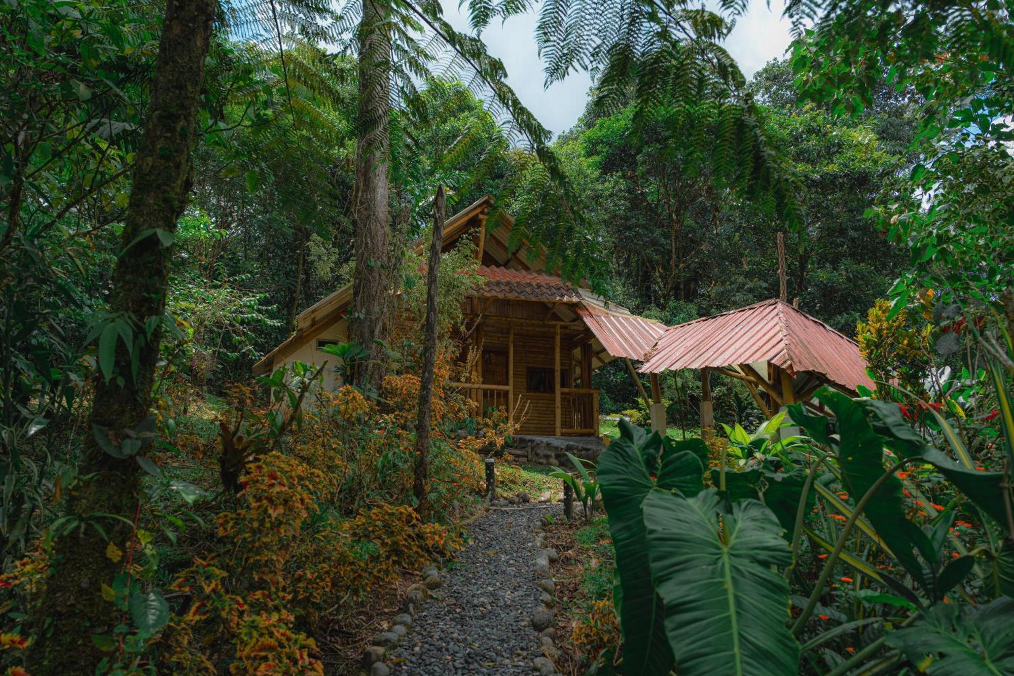 Finca Las Palmas Ecolodge Пуйо Экстерьер фото