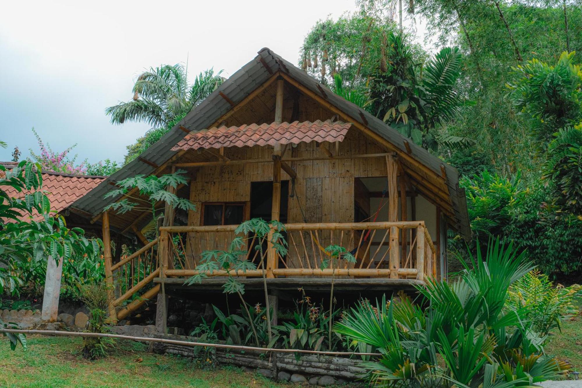 Finca Las Palmas Ecolodge Пуйо Экстерьер фото