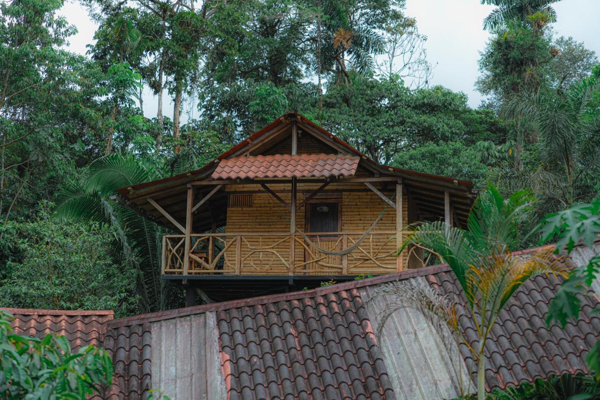 Finca Las Palmas Ecolodge Пуйо Экстерьер фото