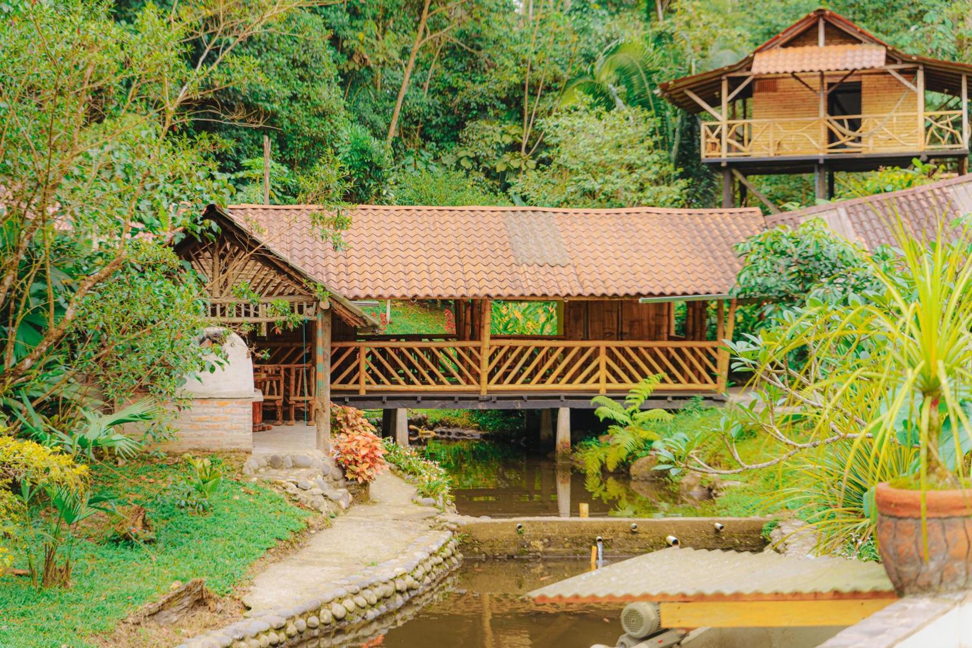 Finca Las Palmas Ecolodge Пуйо Экстерьер фото