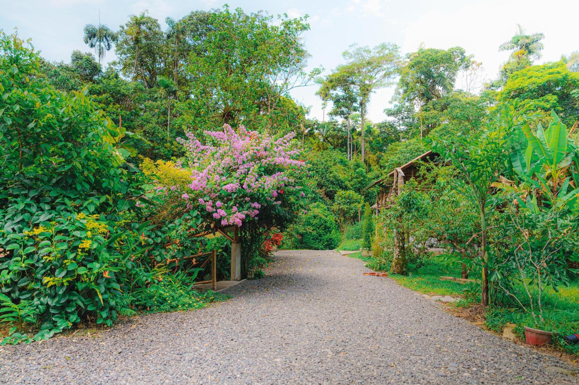 Finca Las Palmas Ecolodge Пуйо Экстерьер фото